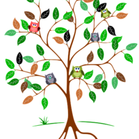 A graphic of a tree with colorful owls on the branches.