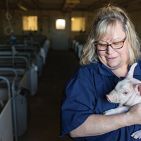 Educator in swine barn holds a very sweet pink piglet in her arms.