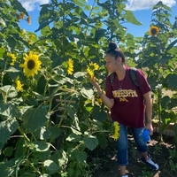 Elba Negron inspects a sunflower