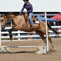 Liberty E. riding horse over jump