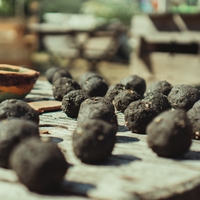A pan holding several gray balls that are seed bombs