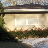 Side of gray house with dark green evergreen hedge along bottom quarter of the building with brown branch tips. Pile of melting snow is in foreground. 