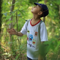Child in a forest looking at tree sapling.
