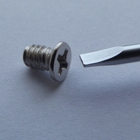 A screw and screwdriver
