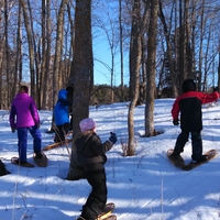 kids snowshoeing in the forest.