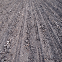 field rows plowed with no residue