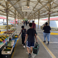 A group of youth walk through a farmers market selling summer squash and zucchini