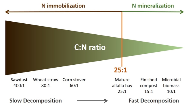 Carbon to nitrogen ratio figure