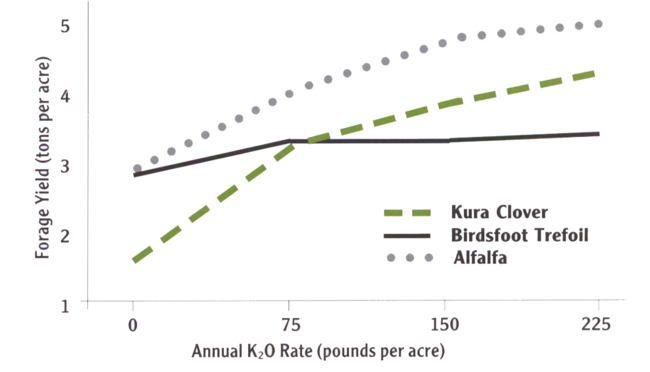 Kura clover, birdsfoot trefoil and alfalfa response to potassium (K20) fertilization