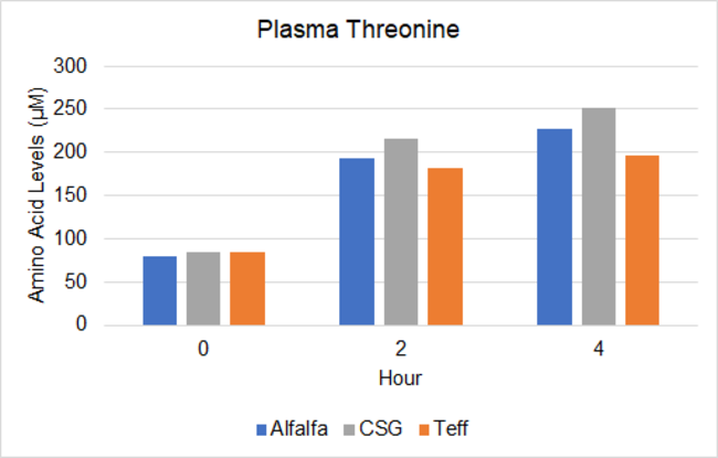 Chart showing plasma threonine content in horses grazing alfalfa, cool-season grass (CSG) and teff.