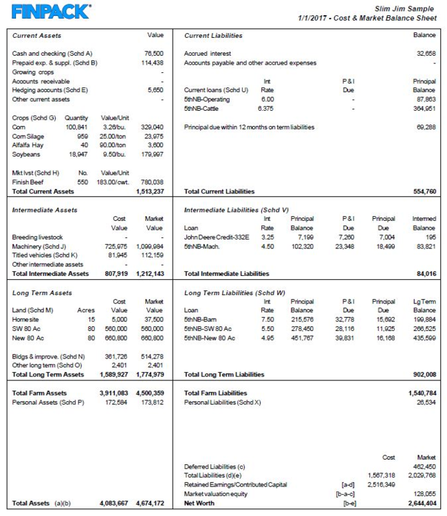 Example of farm balance sheet.
