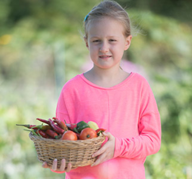 Girl in garden holding basket of vegetables