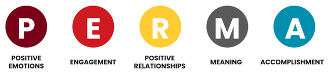 The PERMA model for well-being, where P is positive emotions, E is engagement, R is positive relationships, M is meaning and A is accomplishment.