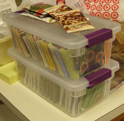 Clear plastic boxes filled with seed packets