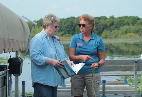 Volunteers look at lake weeds and identification manual on a dock