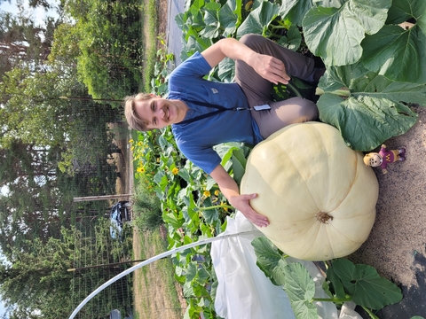 young man with mustache and t-shirt kneels in pumpkin patch next to very large pale pumpkin