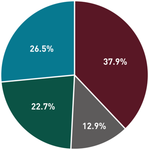 Pie chart showing 37.9%, 26.5.%, 22.7% and 12.9%.
