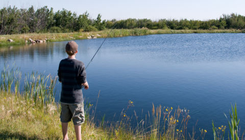 Kid fishing in a pond