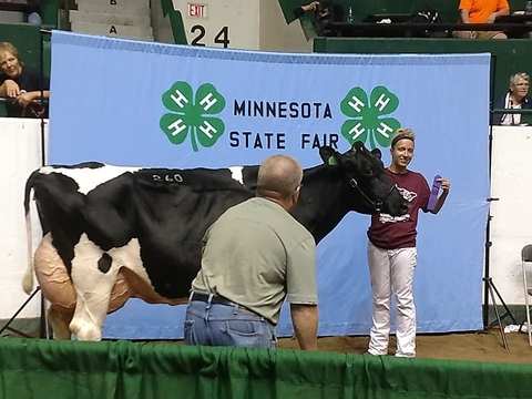 Aly at the state fair with her cow and ribbon.