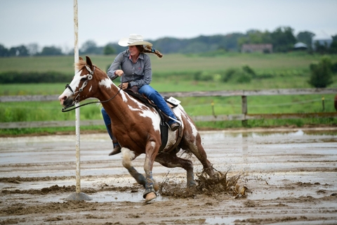 woman riding a brown and white horse