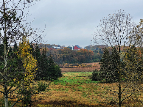 Landscape in fall with a red barn and silo in the distance.