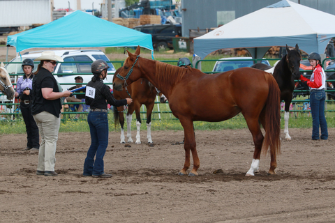A girl wearing a helmet standing next to a brown horse while talking to a woman in a cowboy hat.