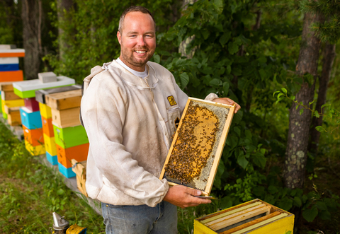 Man holding a frame from a beehive with brood and honey.