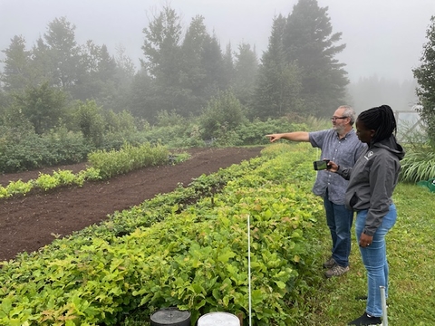 Northeast RSDP Executive Director David Abazs showing Cinderella Ndlovu a tree seedling farm.