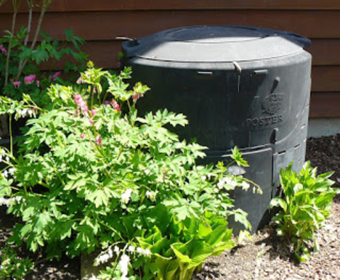 Black compost bin in backyard in sunny location next to plant 