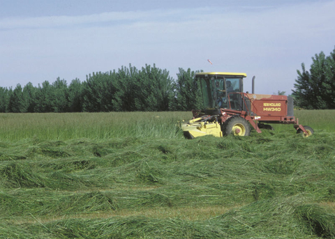 Harvesting grass hay