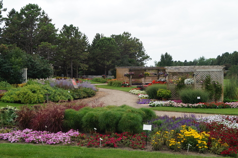 Garden landscape with flowers at the foreground