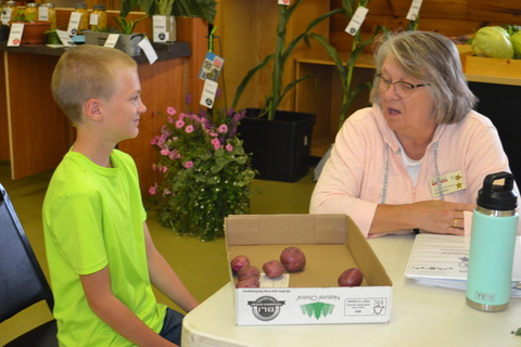An older woman is speaking a to boy with a box of potatoes. 