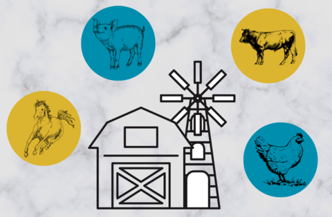 An outline of a barn with windmill and around it the following animals in colorful circles: Horse, pig, beef cattle and chicken