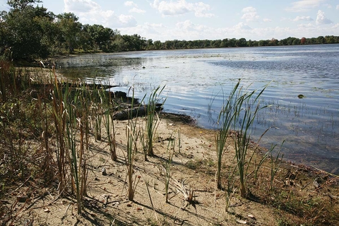 Sand and reeds on shore of lake.