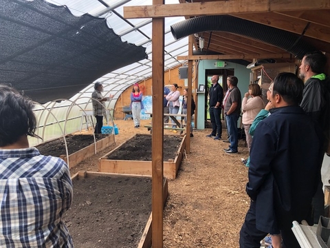 A group of people touring a deep winter greehouse.