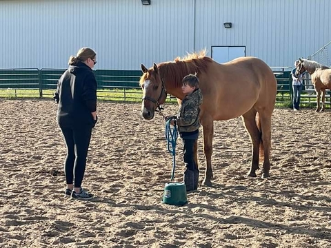 4-H Horse coach