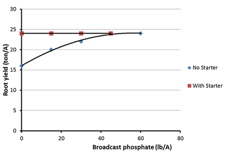 The effect of broadcast phosphate fertilizer with and without 3 gallons of 10-34-0 starter fertilizer.