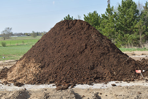 Image of Manure in a pile
