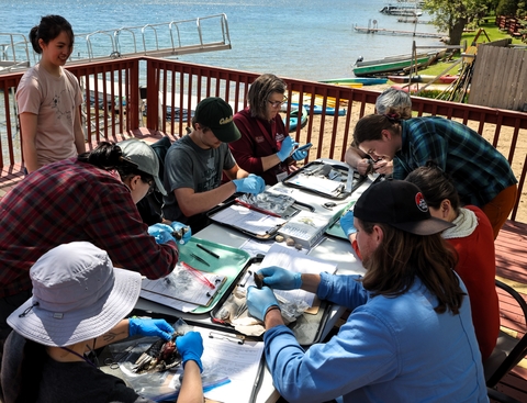 Volunteers work on a bird project on a deck overlooking a lake