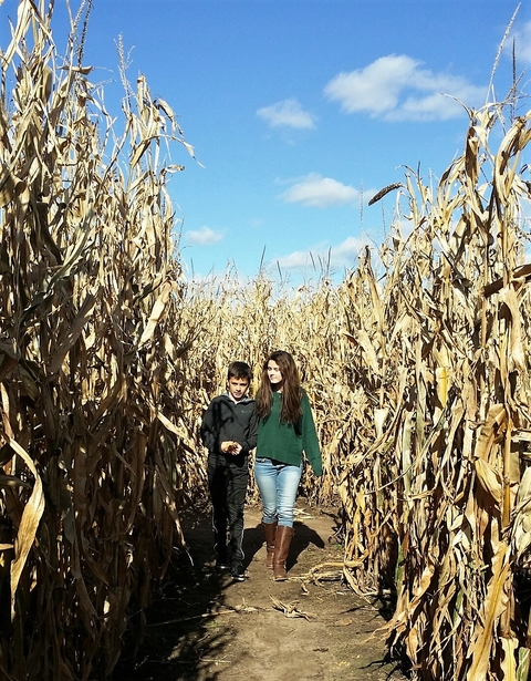 A tween boy and a teen girl walk through a corn maze under a blue sky