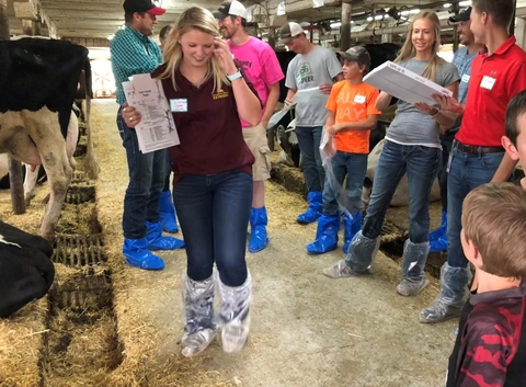 Intern is in dairy barn with cow to the left and participants to the right. She is wearing plastic boots and carrying papers.