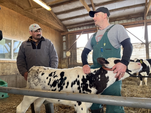 Joe in barn overalls holds heifer while talking with Rodrigo in barn