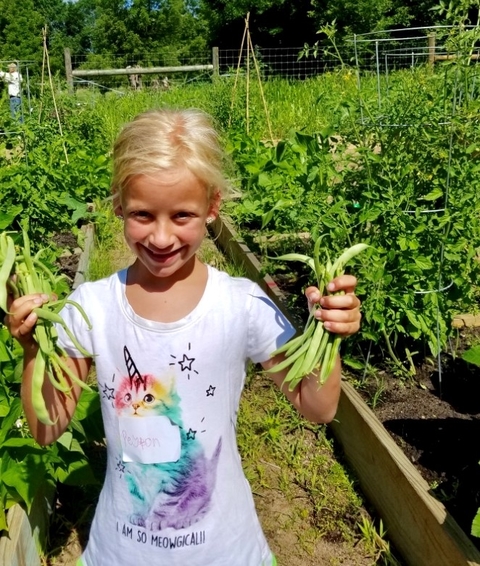 cropped image of girl holding up beans in garden