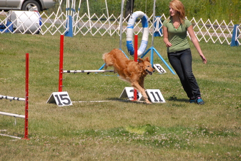 dog and girl doing a jump obstacle