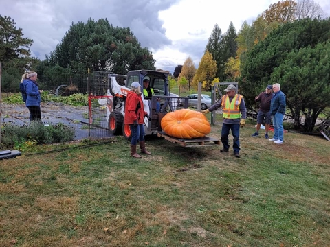 Forklift moving a giant orange pumpkin on a pallet with people nearby.