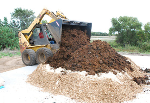 Manure covering horse carcass in compost