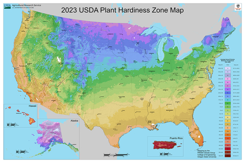 Map of the U.S. shaded in color ranges from gold at the southern tip of Texas to purple along the northern border with Canada and Alaska inset. to indicate plant hardiness zones.