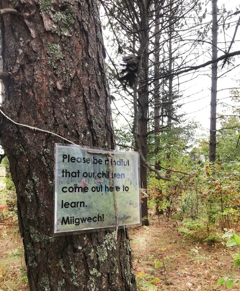 Tree with sign, “Please be mindful that our children come out here to learn. Miigwech!”