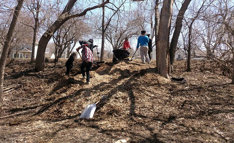 Pile of mulch in wooded area with people loading and moving with a wheelbarrow.