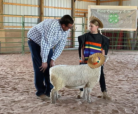 Pine County 4-H'er Adalynn and sheep during lamb lead at county fair